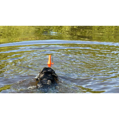 Dog Comets Bobber