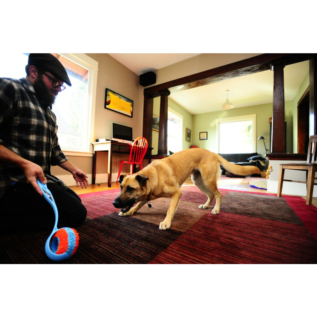 Chuckit! Indoor roller 12cm