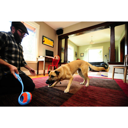 Chuckit! Indoor roller 12cm
