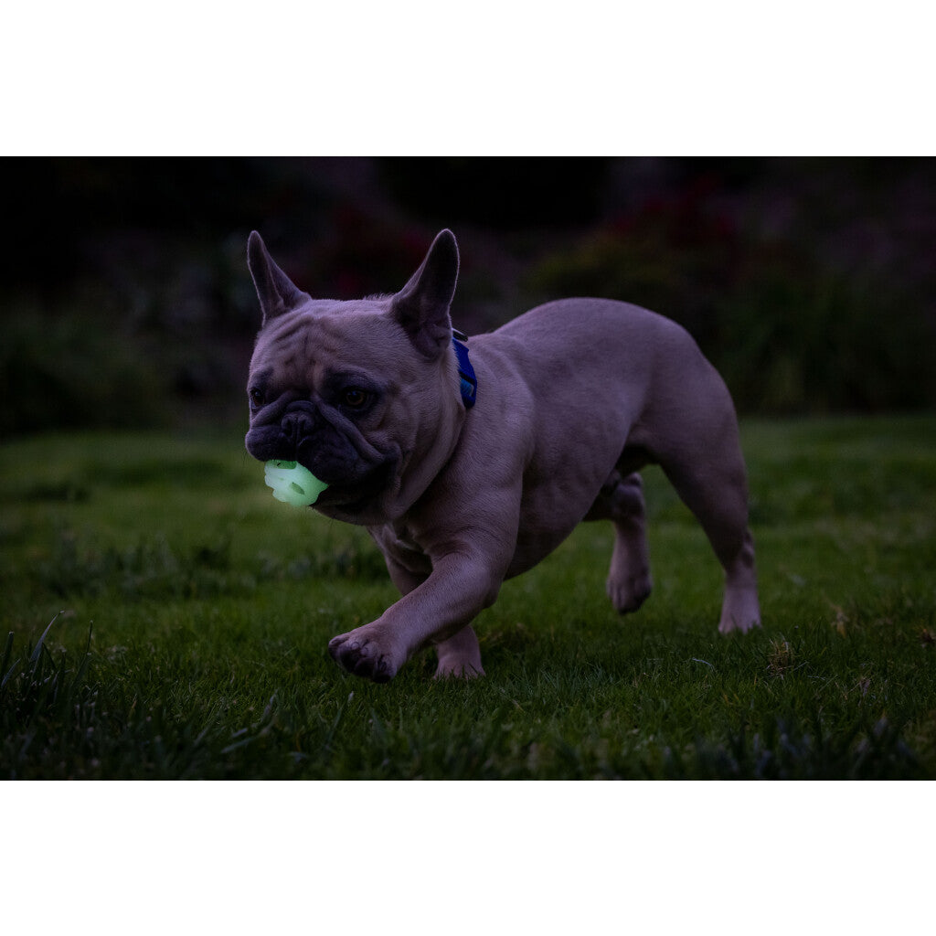 Chuckit! Max Glow Air Fetch Ball