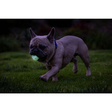 Chuckit! Max Glow Air Fetch Ball