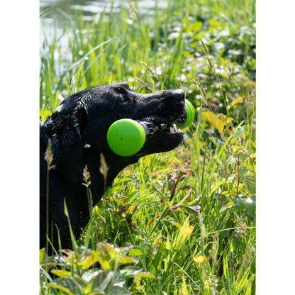 Dog Comets Meteor Throwing Stick