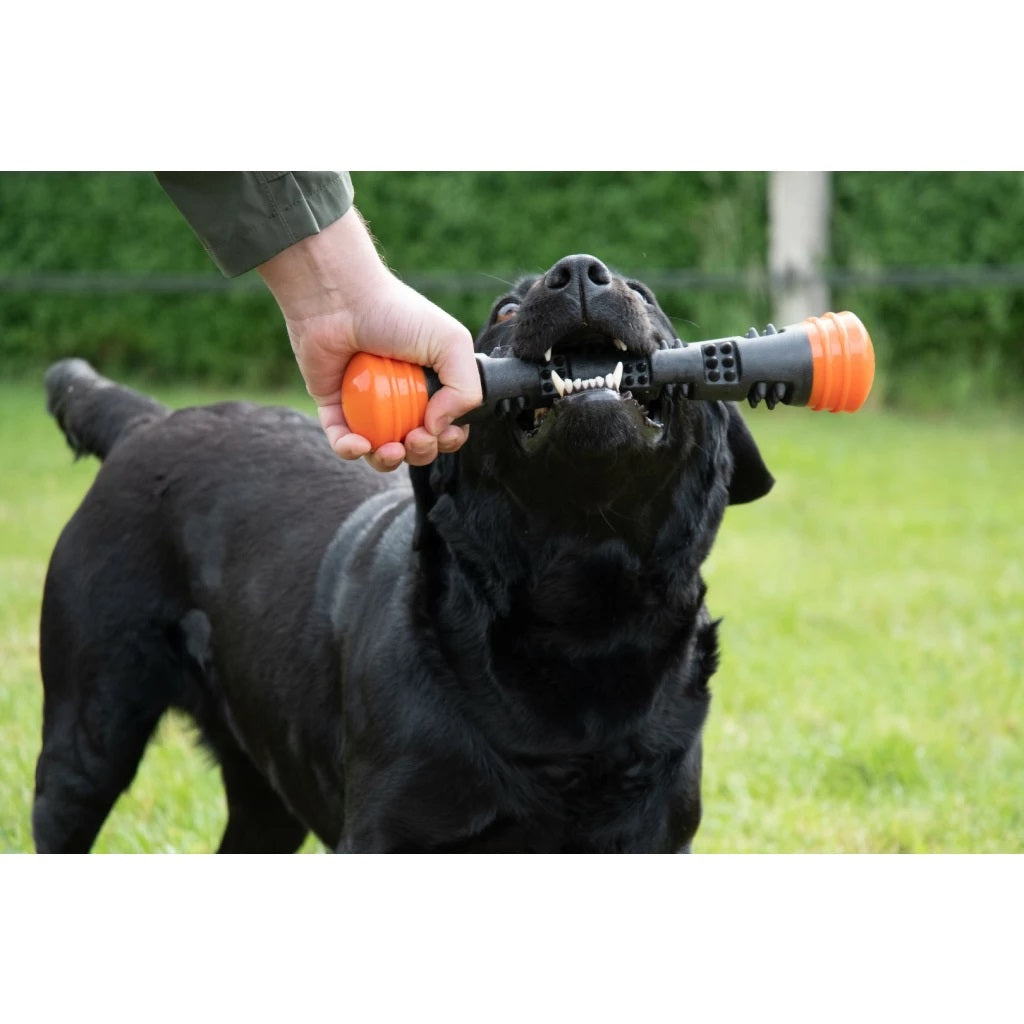 Dog Comets Meteor Throwing Stick