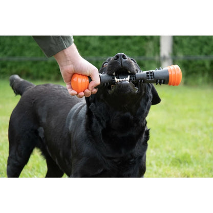 Dog Comets Meteor Throwing Stick