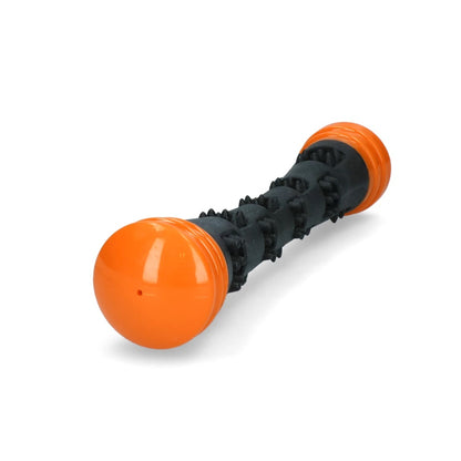Dog Comets Meteor Throwing Stick