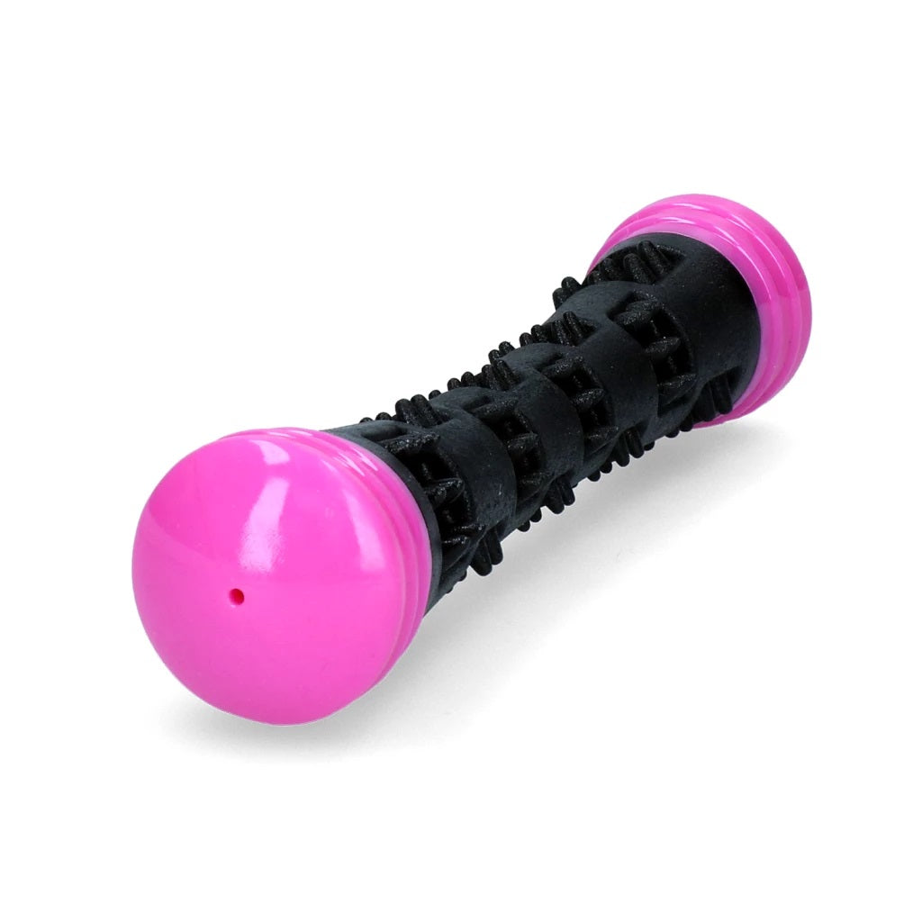 Dog Comets Meteor Throwing Stick