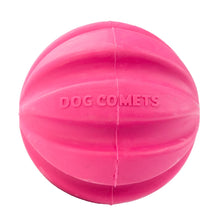 Dog Comets Meteorite