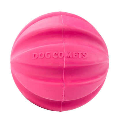Dog Comets Meteorite