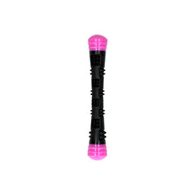 Dog Comets Meteor Throwing Stick